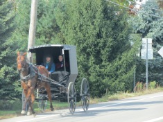 Amish - Somewhere, Ohio